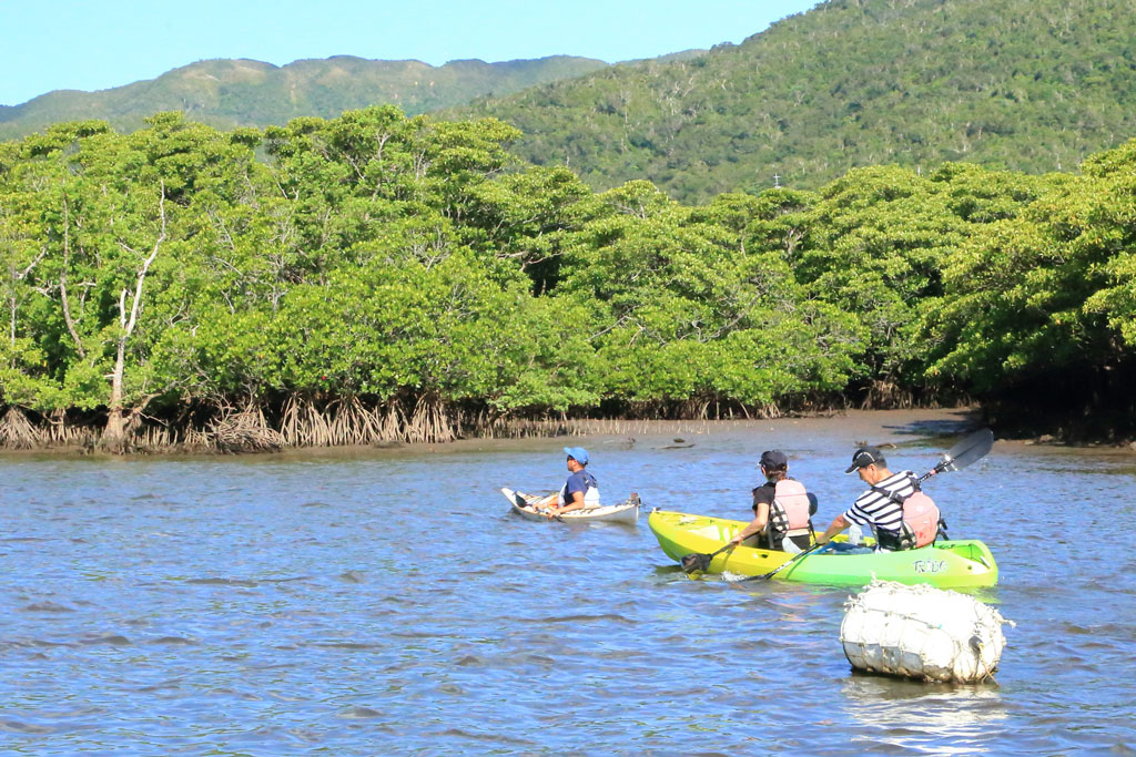 西表島「仲間川」カヌーを楽しむ人々