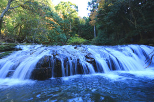 伊豆市「平滑ノ滝」
