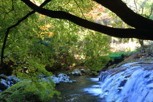 伊豆市「平滑ノ滝」