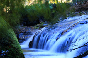 伊豆市「平滑ノ滝」