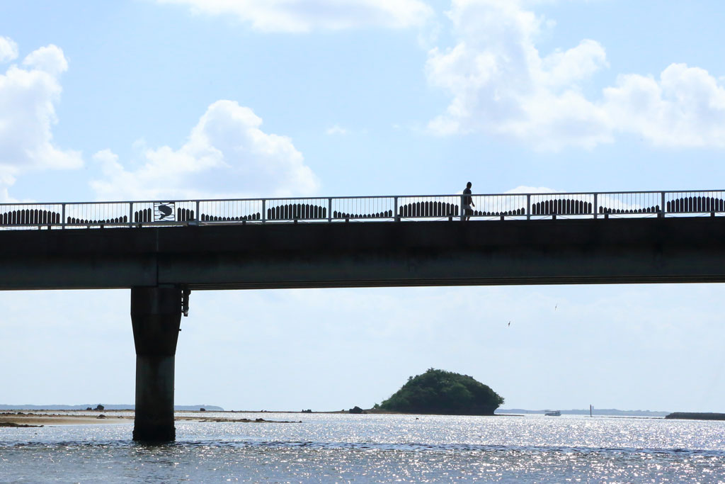 西表島「仲間川」仲間橋の風景