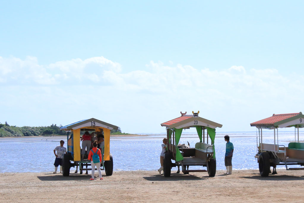 八重山諸島「由布島」西表島側の水牛車