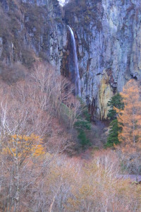 長野県「米子大瀑布」男性的な「権現滝」