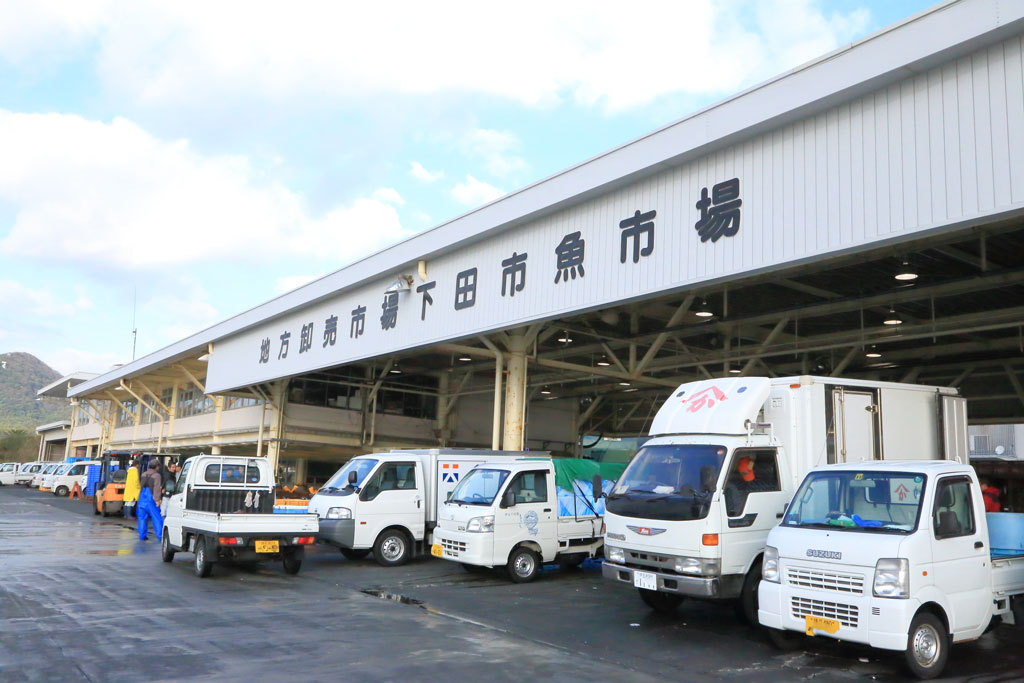 下田市「下田市魚市場」