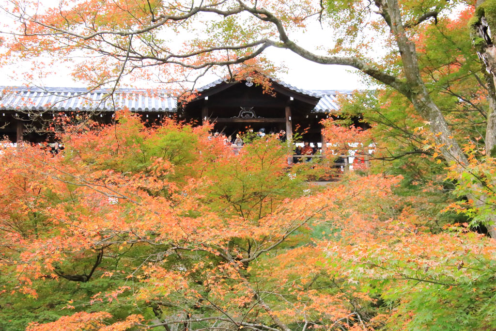 京都「東福寺」臥雲橋から通天橋を望む