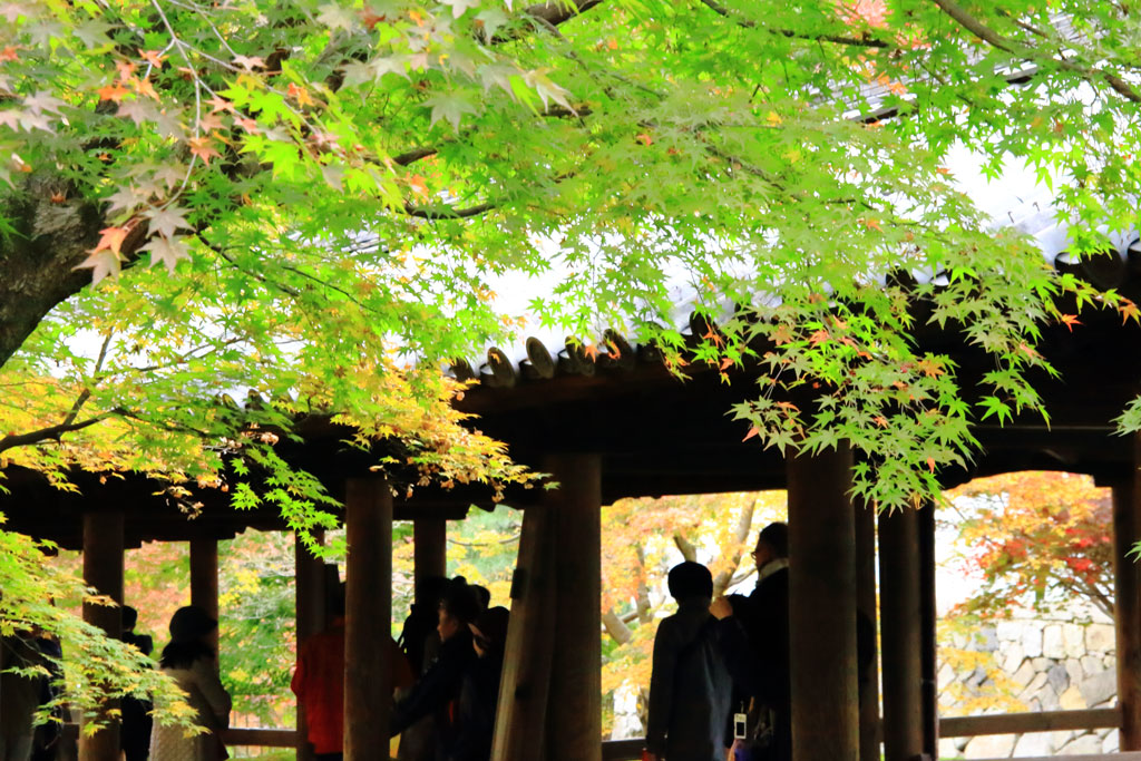 京都「東福寺」紅葉の通天橋への渡り廊下