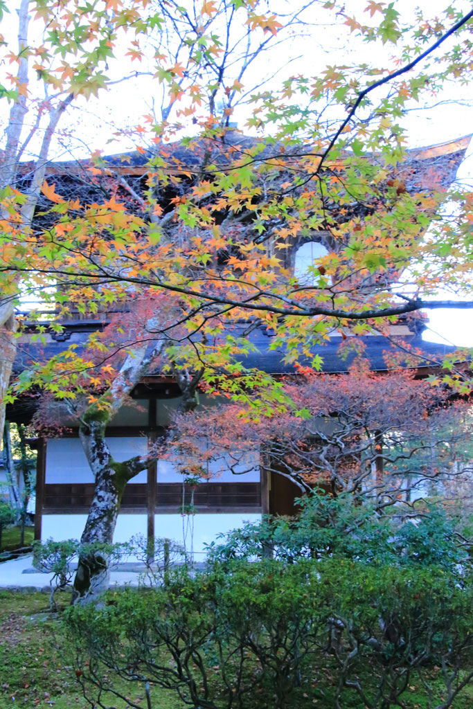 京都「銀閣寺」紅葉と銀閣