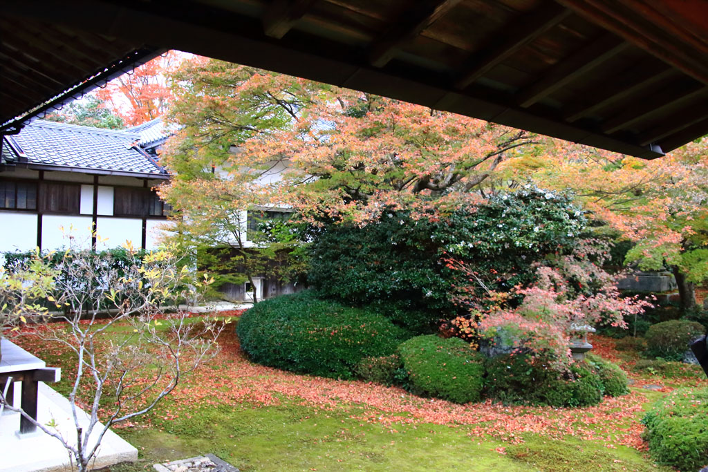 京都「源光庵」庭園内の紅葉