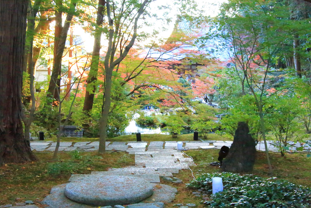 京都「金戒光明寺」ご縁の庭の紅葉