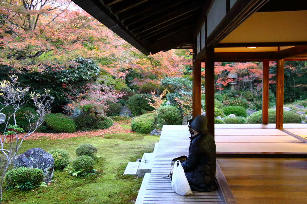 京都「源光庵」庭園を望む
