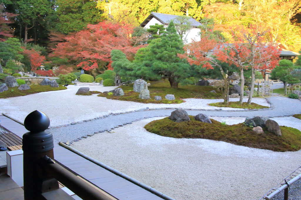 京都「金戒光明寺」紅葉の紫雲の庭