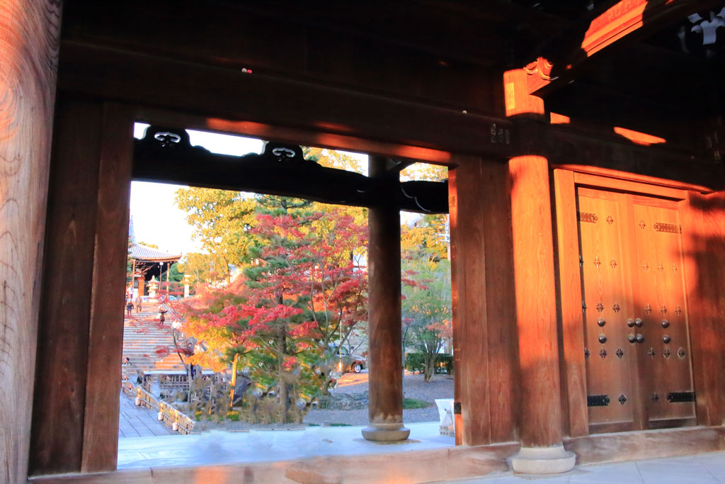 京都「金戒光明寺」夕日の染まる山門