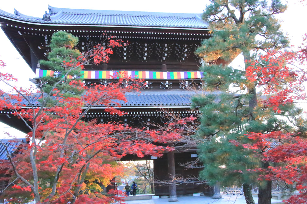 京都「金戒光明寺」紅葉に映える山門