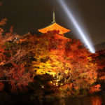 四季の風景　清水寺のライトアップ