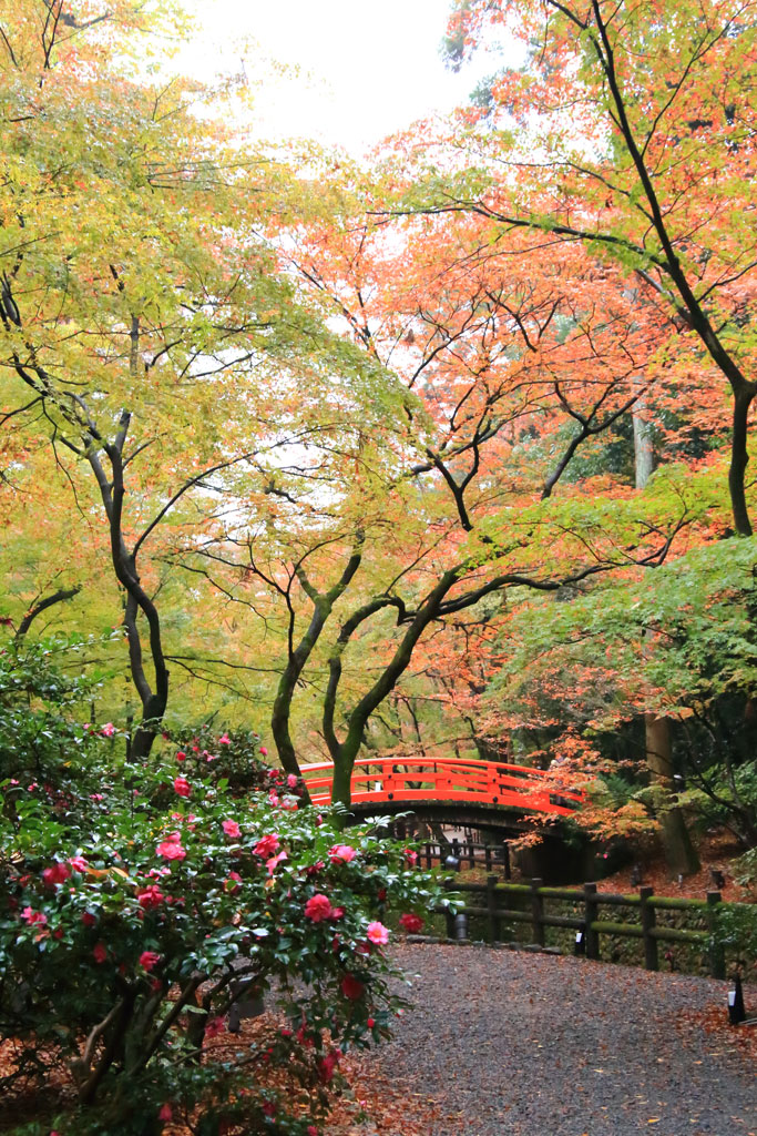 京都「北野天満宮」紙屋川に架かる太鼓橋