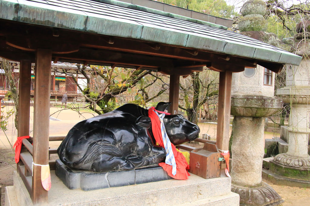 京都「北野天満宮」牛の像（臥牛）